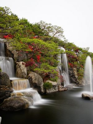 jardin eau